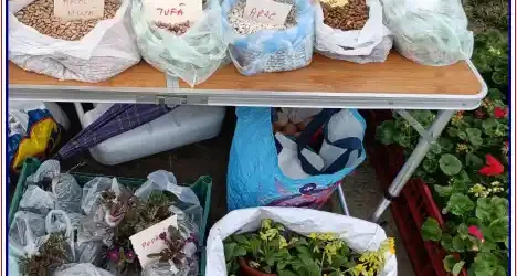 Bâlciul de Buna Vestire 2026 la Tismana