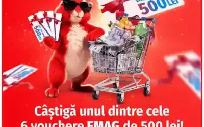 bsg credit concurs de paste 2026