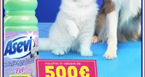 tombola Asevi vouchere DM 500 euro