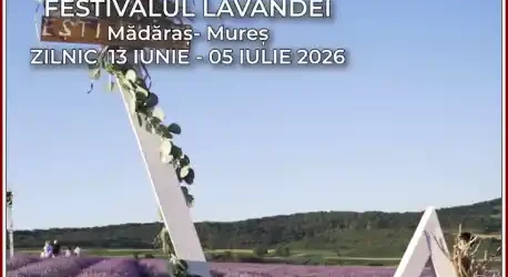 Festivalul Lavandei Mădăraș 2026 ce poți face și cât costă