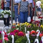 Zilele Orașului Craiova 2026 program concerte