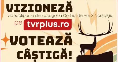 concurs cerbul de aur 2026 câștigă vacanță pe litoral