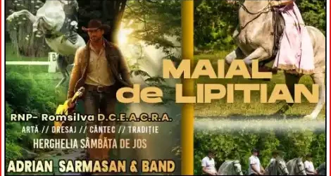 Maialul de Lipițan Sâmbăta de Jos 2026
