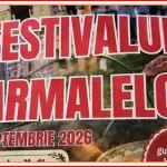 Festivalul Sarmalelor Salonta 2026