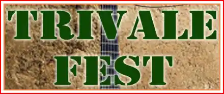 TRIVALE FEST 2026 concurs cu premii în bani